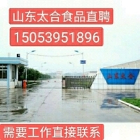 山东太合食品直聘（杀鸡厂）