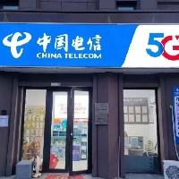 中国电信兰山分公司