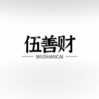伍善财网络科技