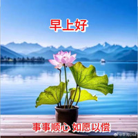 临沂格林城配货运有限公司