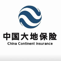 中国大地财产保险股份有限公司河东支公司