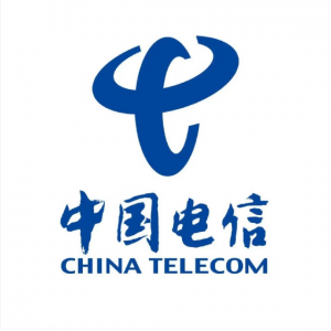 中国电信股份有限公司蒙阴分公司