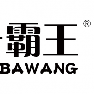 山东久量电池有限公司