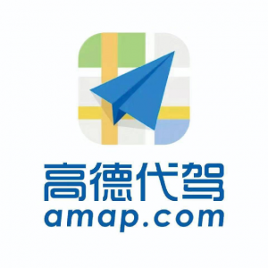 高德代驾公司