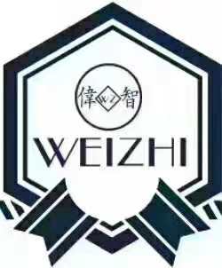 伟智集团有限公司