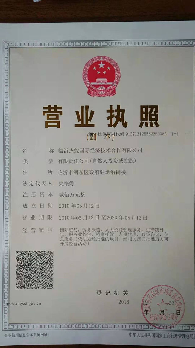 临沂杰能国际经济技术合作有限公司