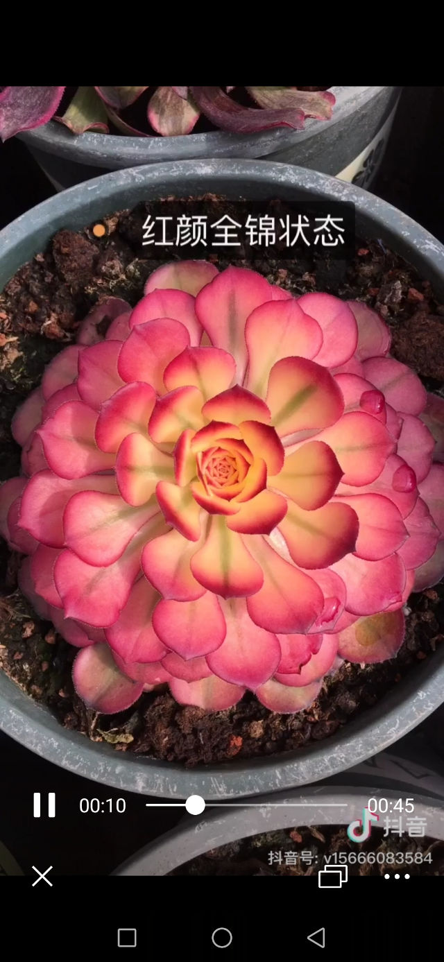 徐州市花满苑电子商务有限公司