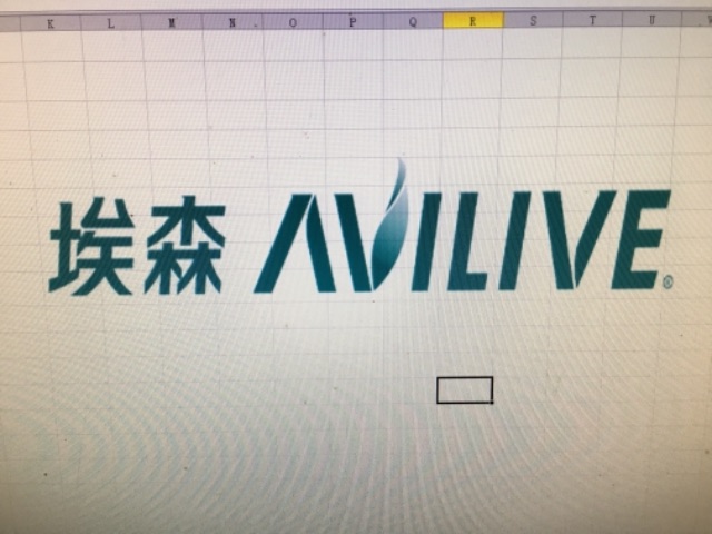山东埃森化学有限公司