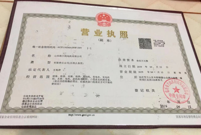 山东维尔纳电机