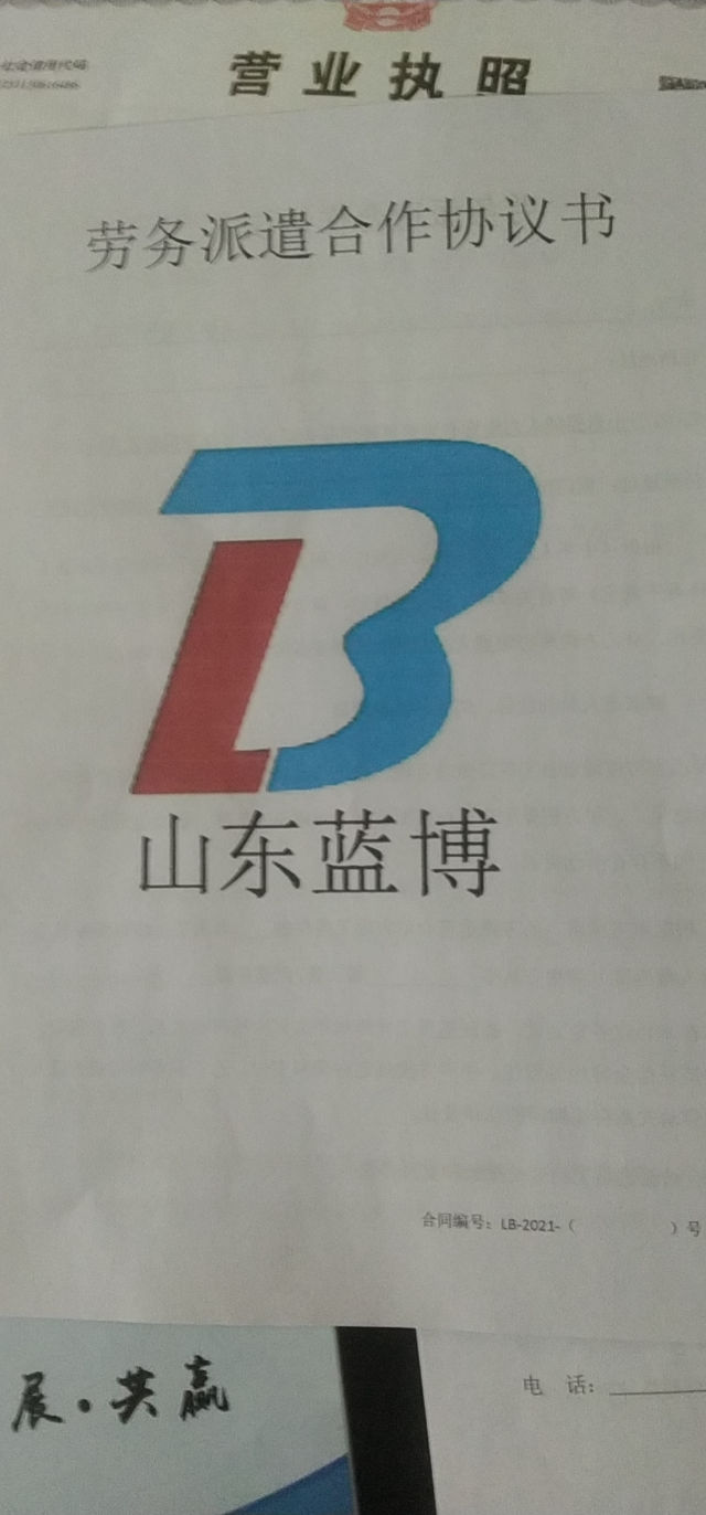 山东蓝博人力资源有限公司