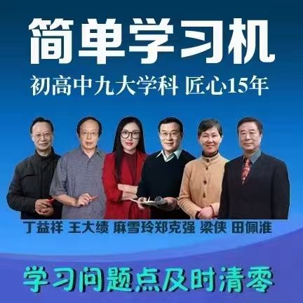 临沂诚正信息咨询有限公司